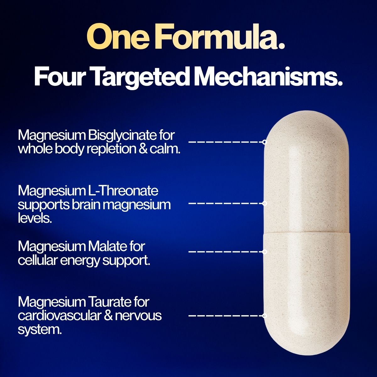 Magnesium Complete (5 Bottles) (OTO)